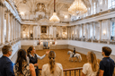 Guided tour inside Vienna’s Spanish Riding School with visitors overlooking a Lipizzaner horse and rider in the historic Winter Riding School.